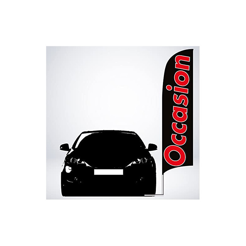 KIT COMPLET Car Flag standard